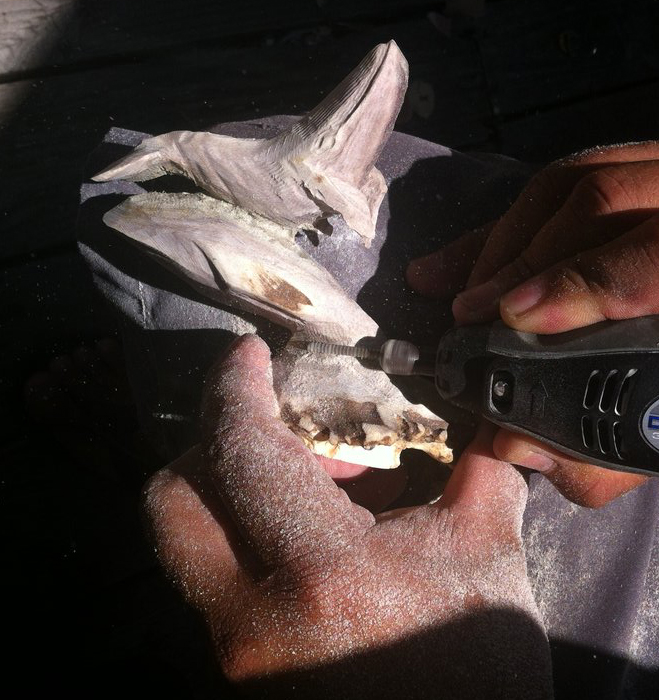 Benjamin Muti hand-carving bone
